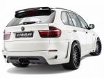BMW Flash EVO M by Hamann 2010 года